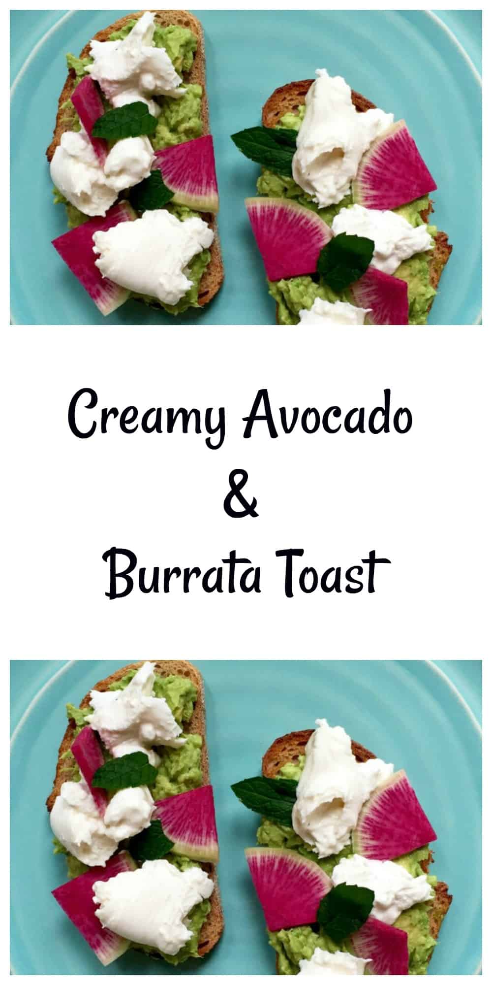 Avocado & Burrata Toast