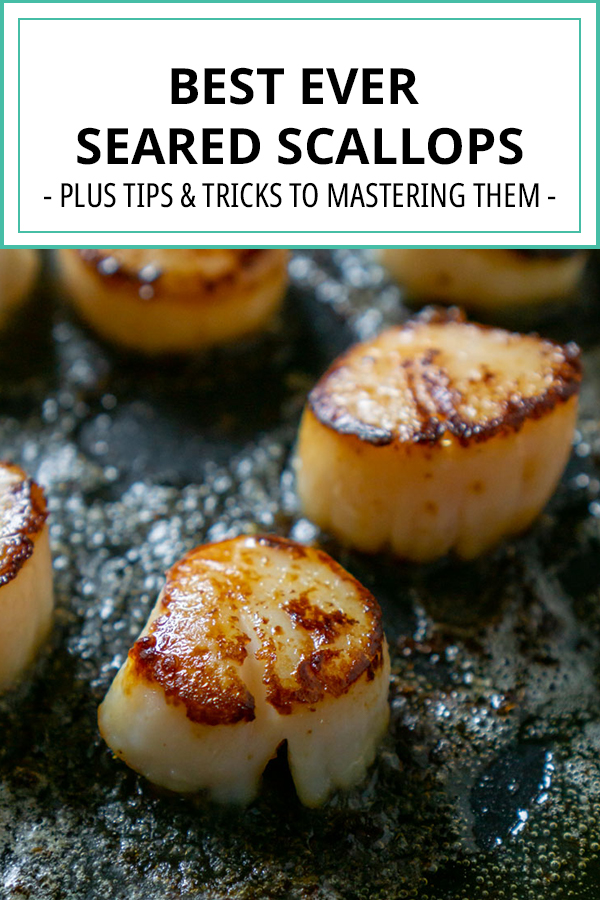 seared scallops pinterest short pin