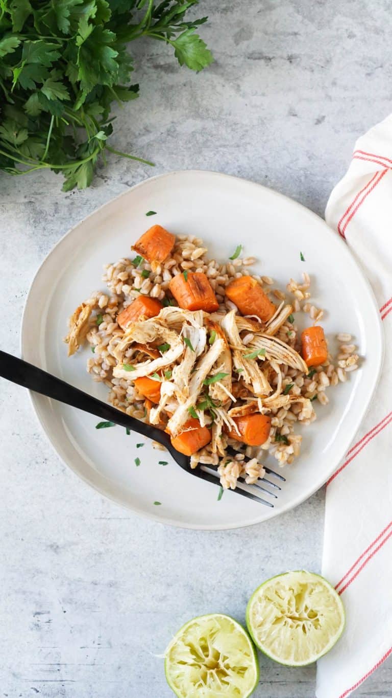 pulled chicken on a plate with rice and carrots