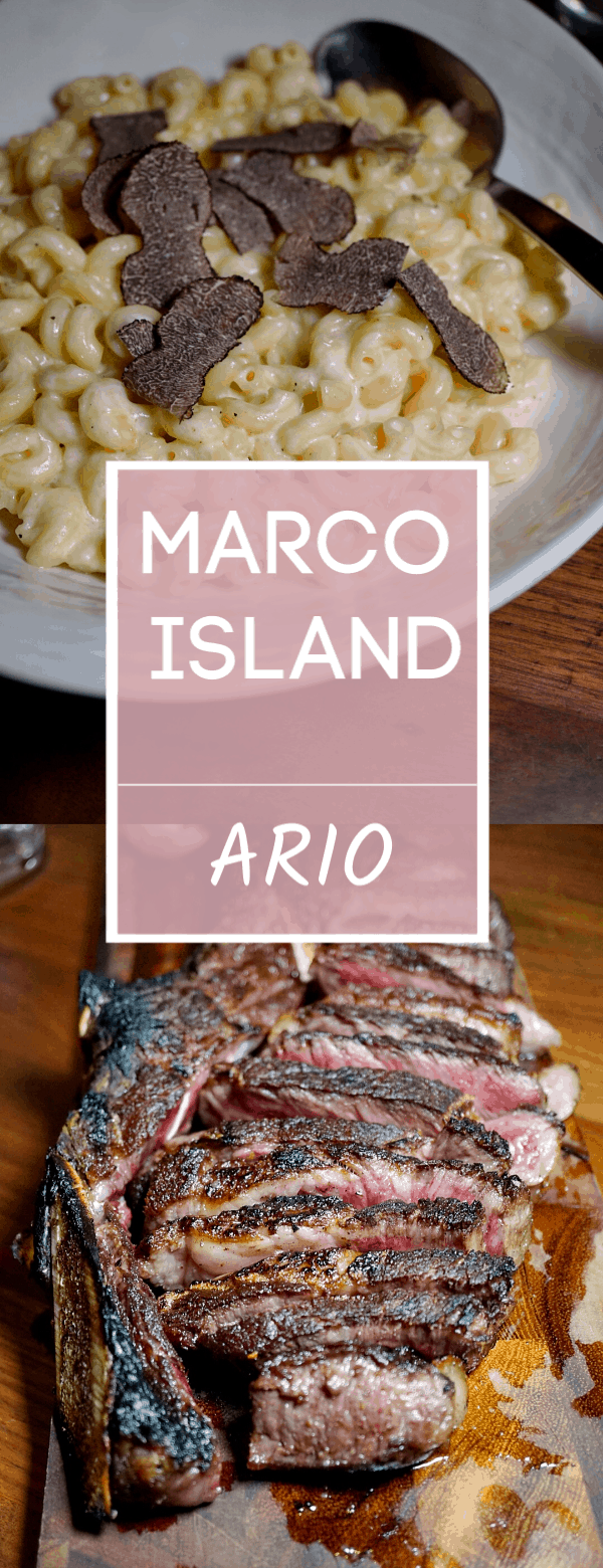 Known for their 35 day dry aged steaks, Ario in Marco Island is one spectacular restaurant. From the casually elegant ambiance to the thoughtfully prepared menu, Ario is nothing short of amazing.