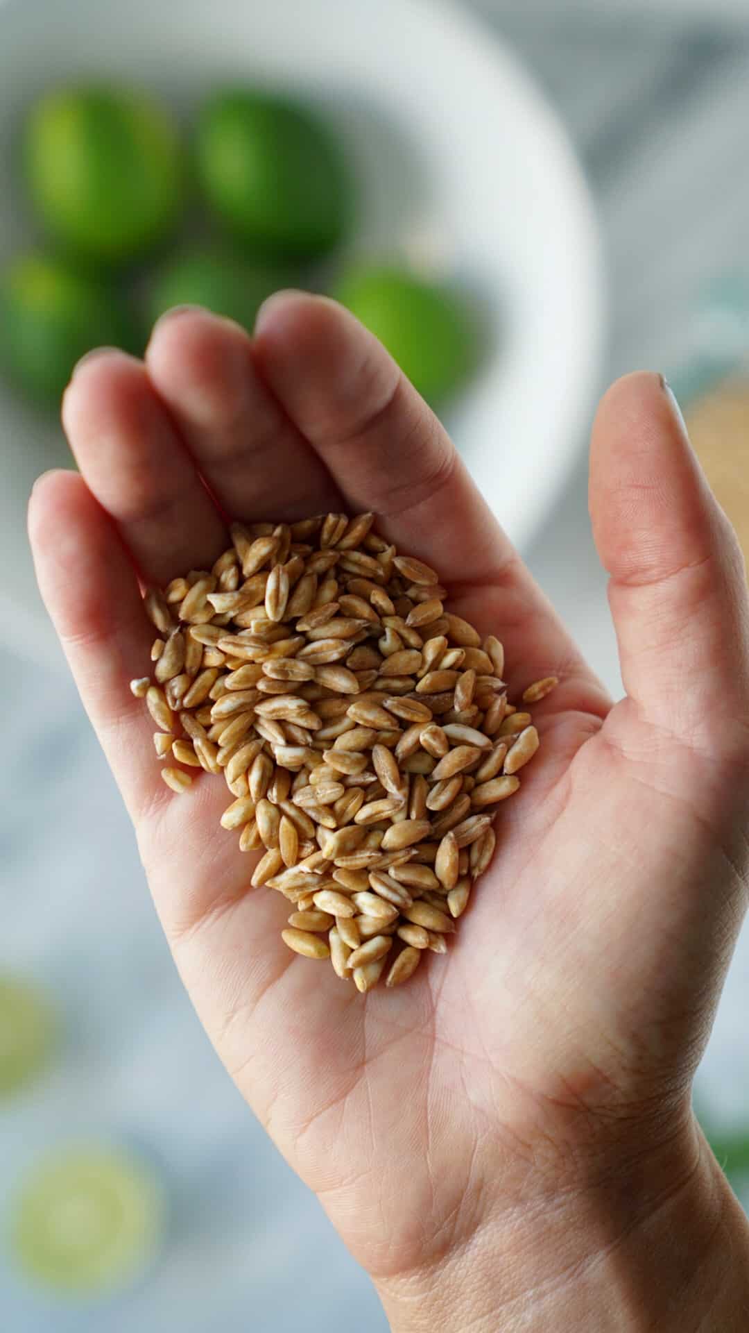 Raw farro in hand with limes in the background