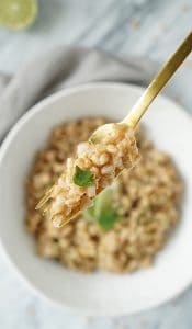 Cilantro Lime Farro side Dish Recipe - JZ Eats (Vegan)