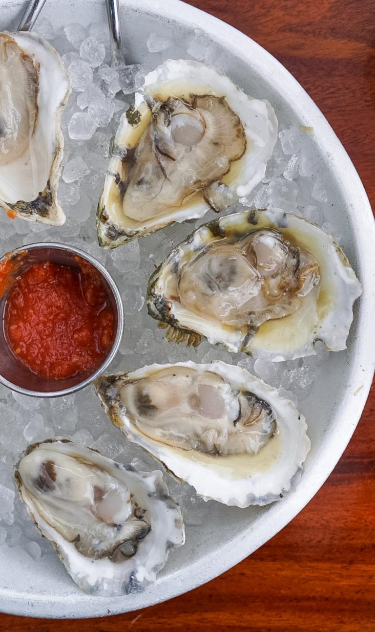 raw oysters on ice from one of the best portland maine restaurants