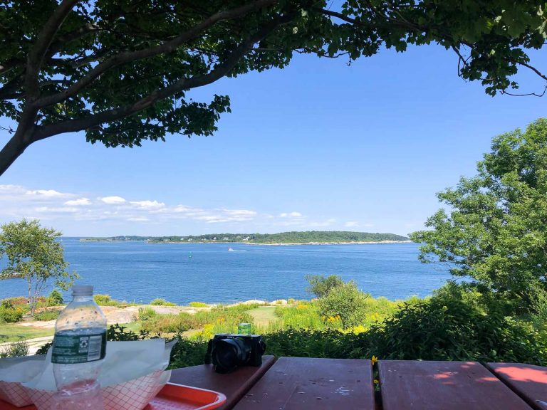 a picnic table overlooking the water at fort williams park