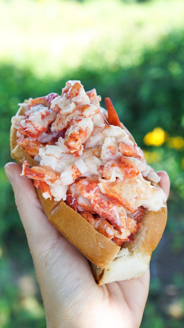 a hand holding a lobster roll from bite into maine