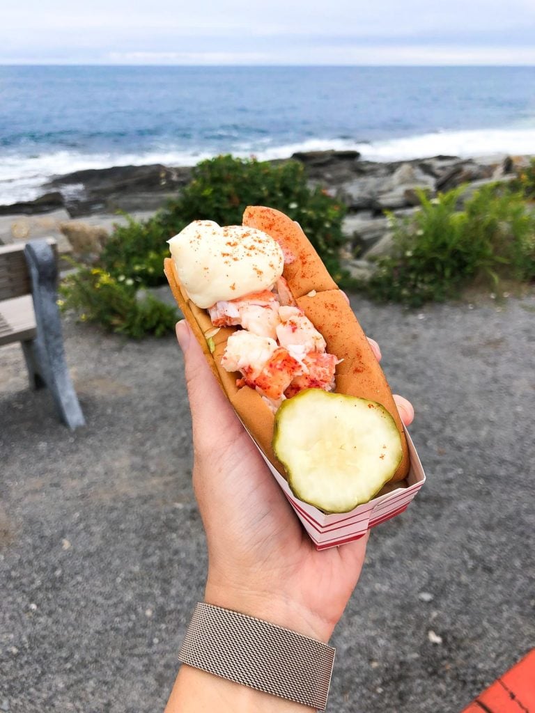 a hand holding a lobster roll with the ocen in the background