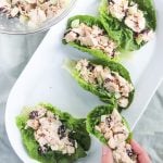 5 ingredient chicken salad in lettuce wraps