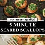 Seared scallops in a black pan and a fork holding a scallop.