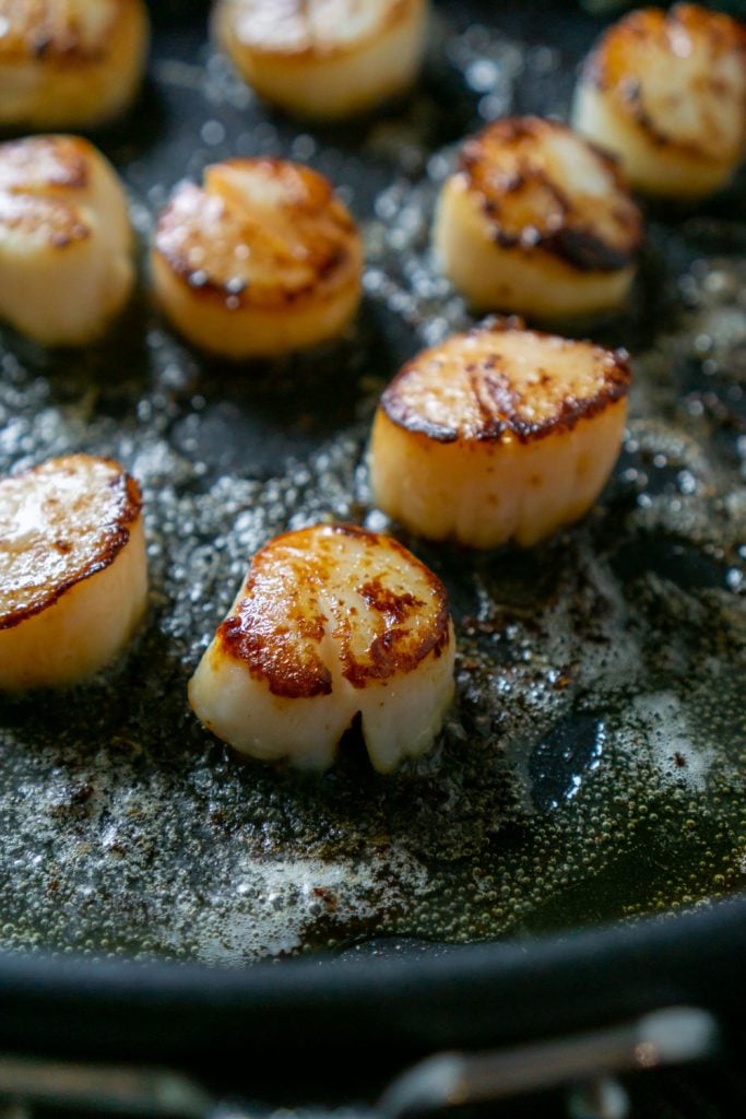 seared scallops in a black skillet