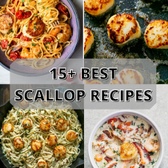 best scallop recipes pin