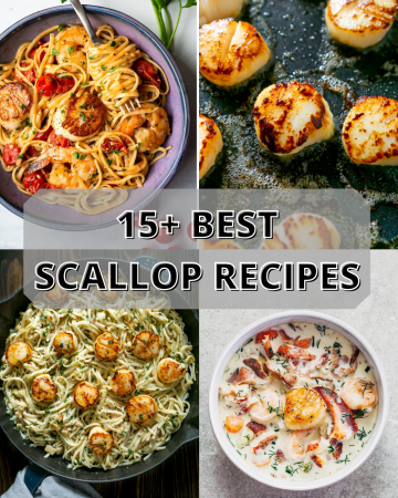 15+ Best Scallop Recipes