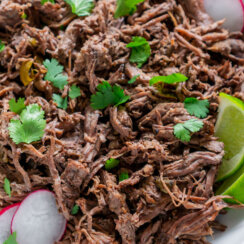 close up of chipotle barbacoa