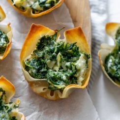 spinach and artichoke dip wonton cups