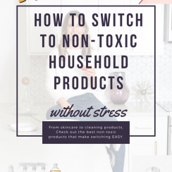 non-toxic products pin