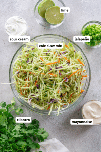 5 Minute Fish Taco Slaw - JZ Eats