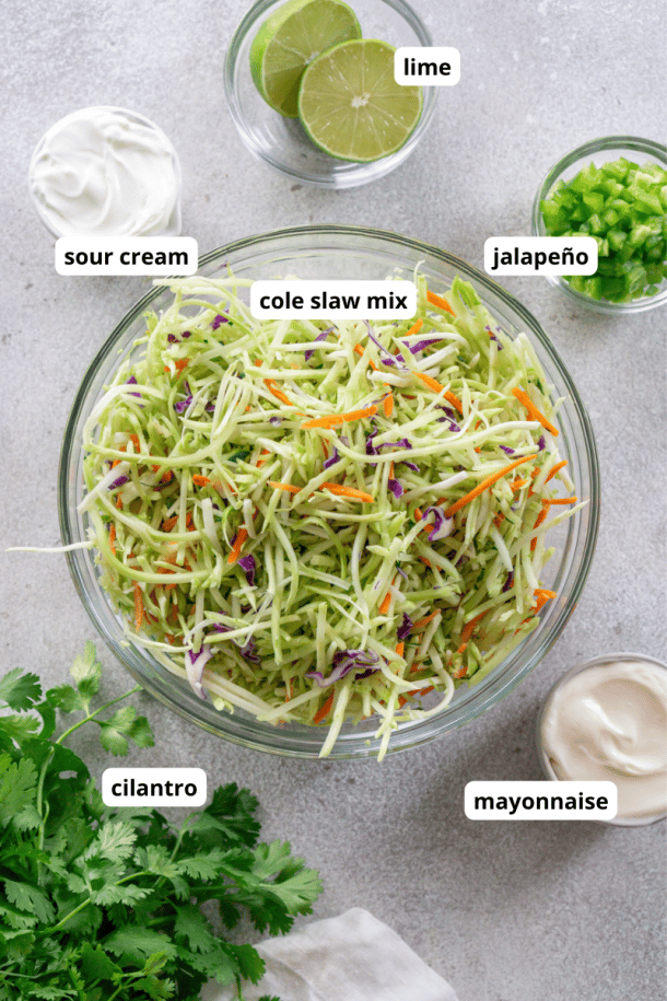 5 Minute Fish Taco Slaw - JZ Eats