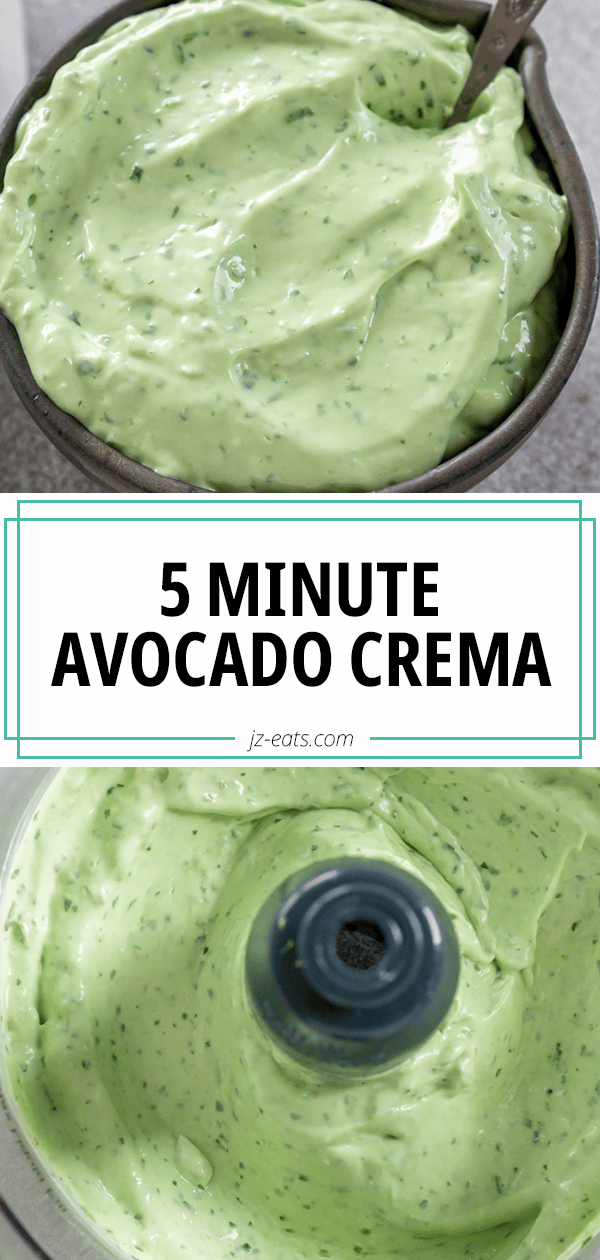 5 Minute Avocado Cream Sauce - JZ Eats