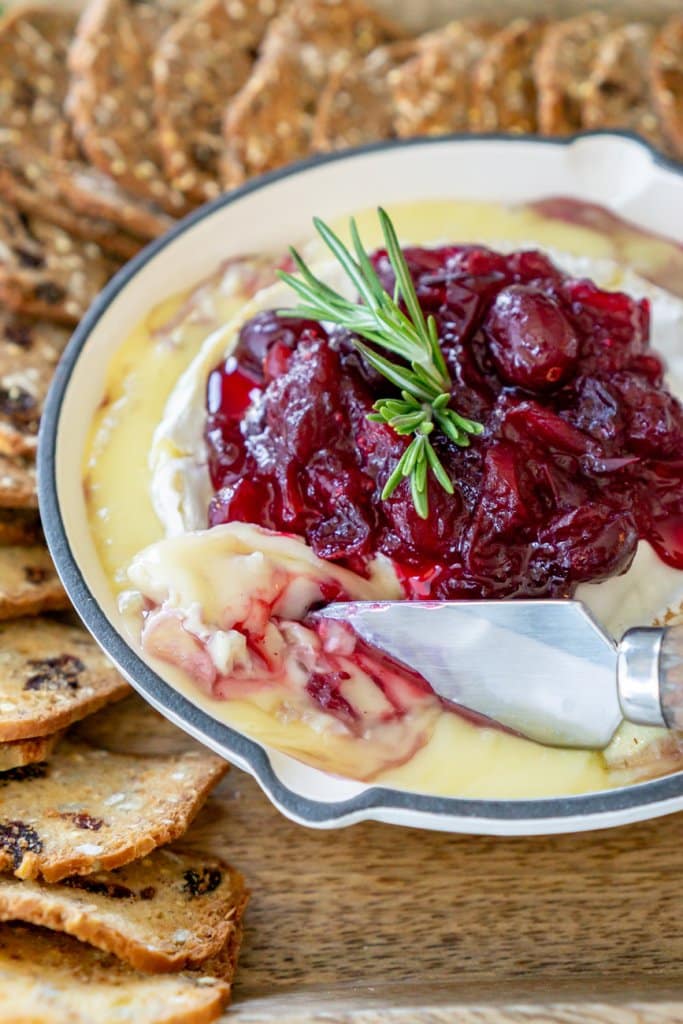 cheese knife in melted brie cheese with cranberry