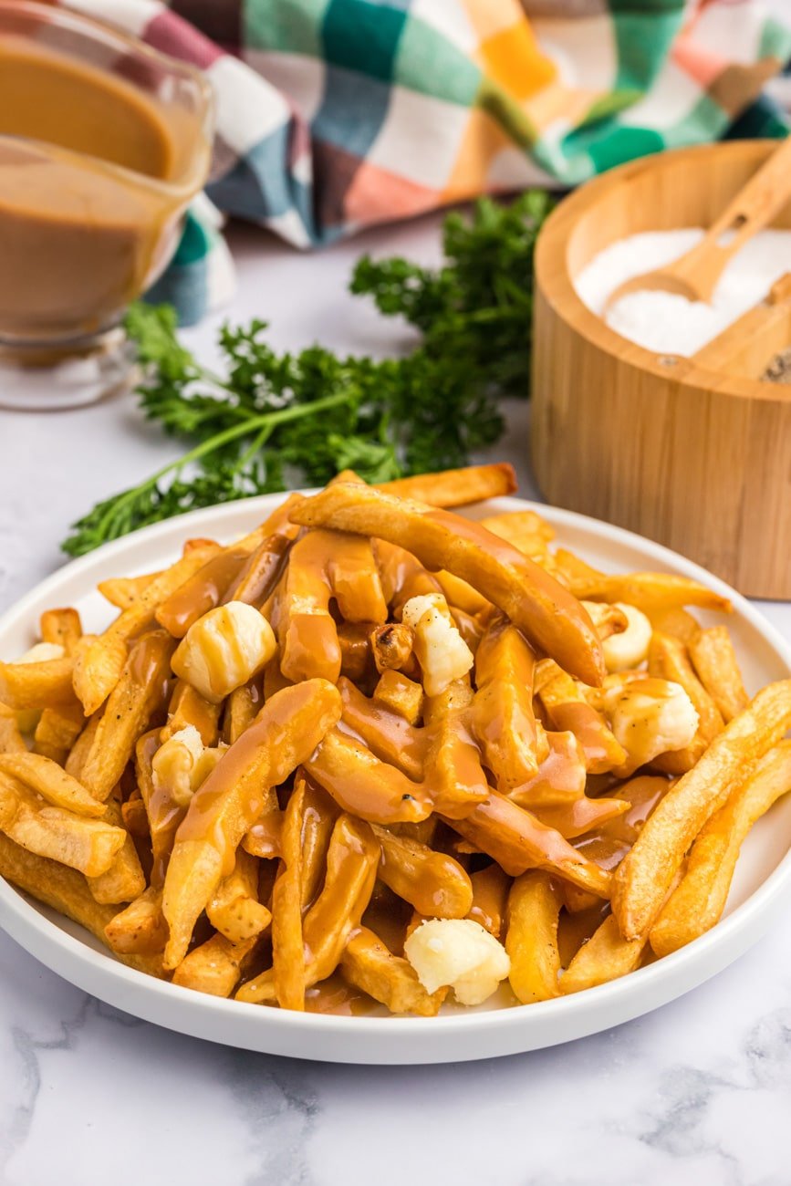 French fries on a white plate covered in beef gravy without drippings.