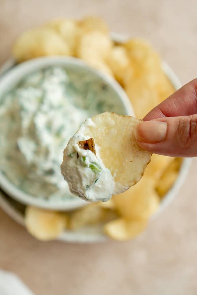 hand holding a chip with cottage cheese dip on it