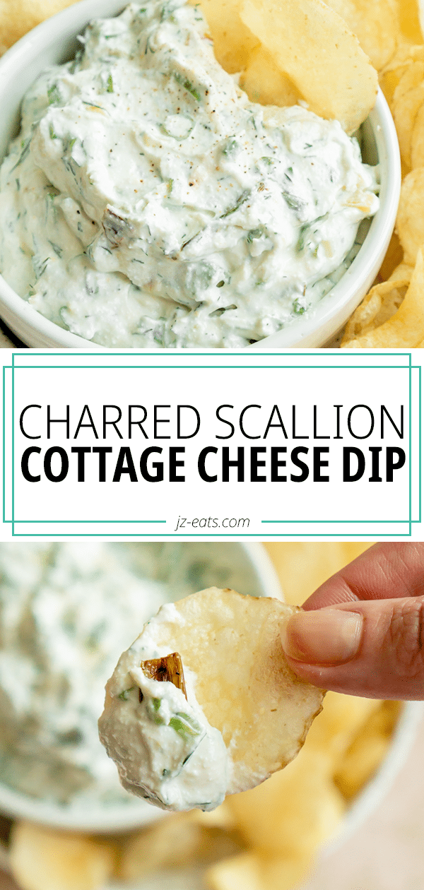 Whipped Cottage Cheese Dip Recipe Jz Eats 