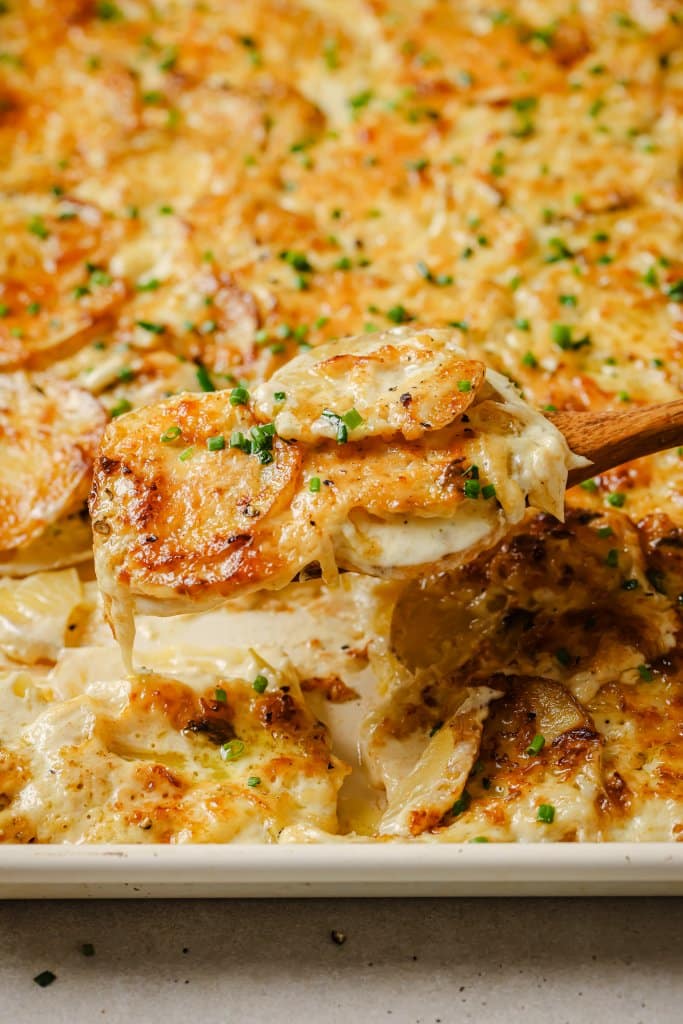 scalloped potatoes on a wooded serving spoon ready to serve