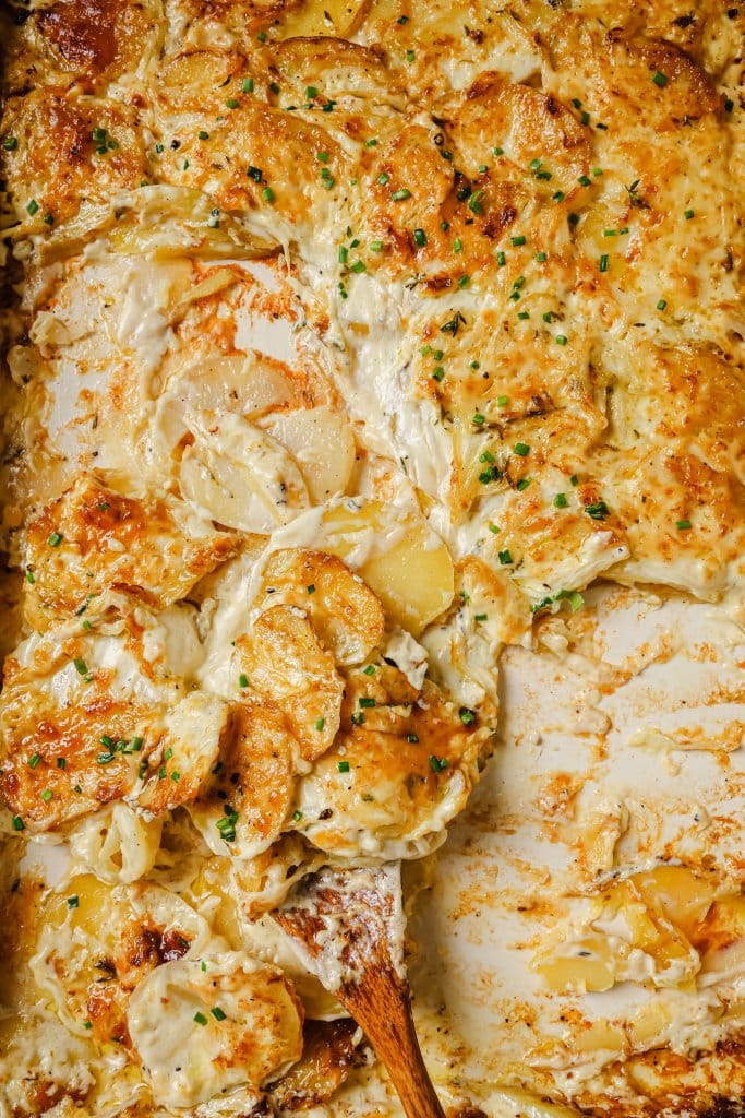 sheet pan scalloped potatoes being served from a baking sheet