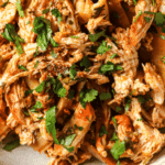 Close up of chili lime slow cooker shredded chicken.