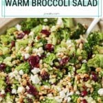 warm broccoli salad pinterest short pin with a close up photo of the broccoli salad in a bowl with a spoon.