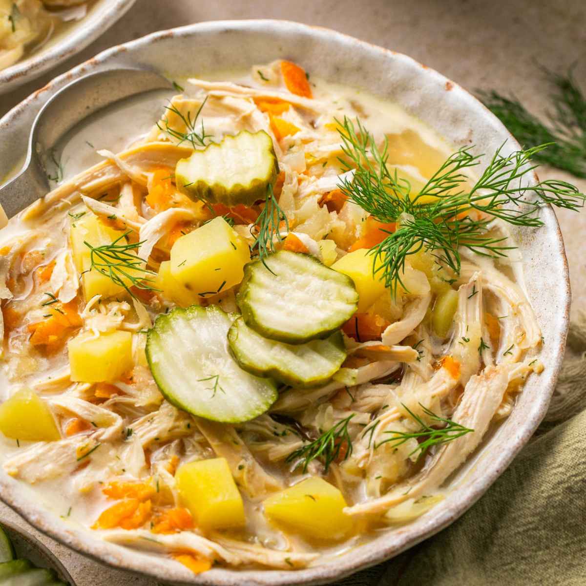 A close up of a bowl of dill pickle soup.