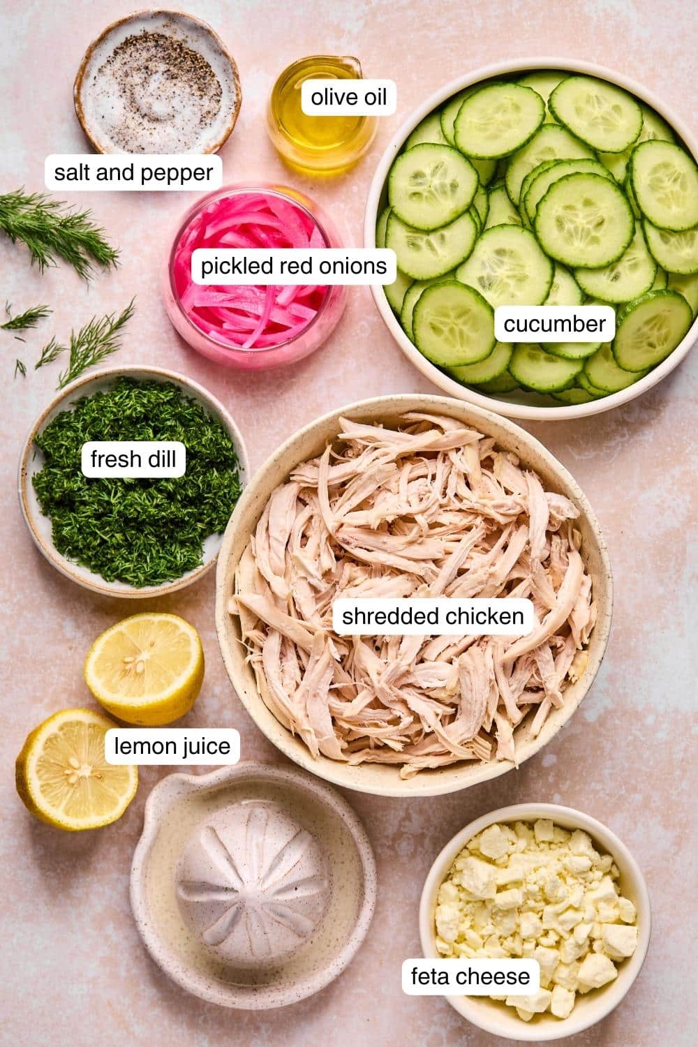 Labeled ingredients for chicken cucumber salad.