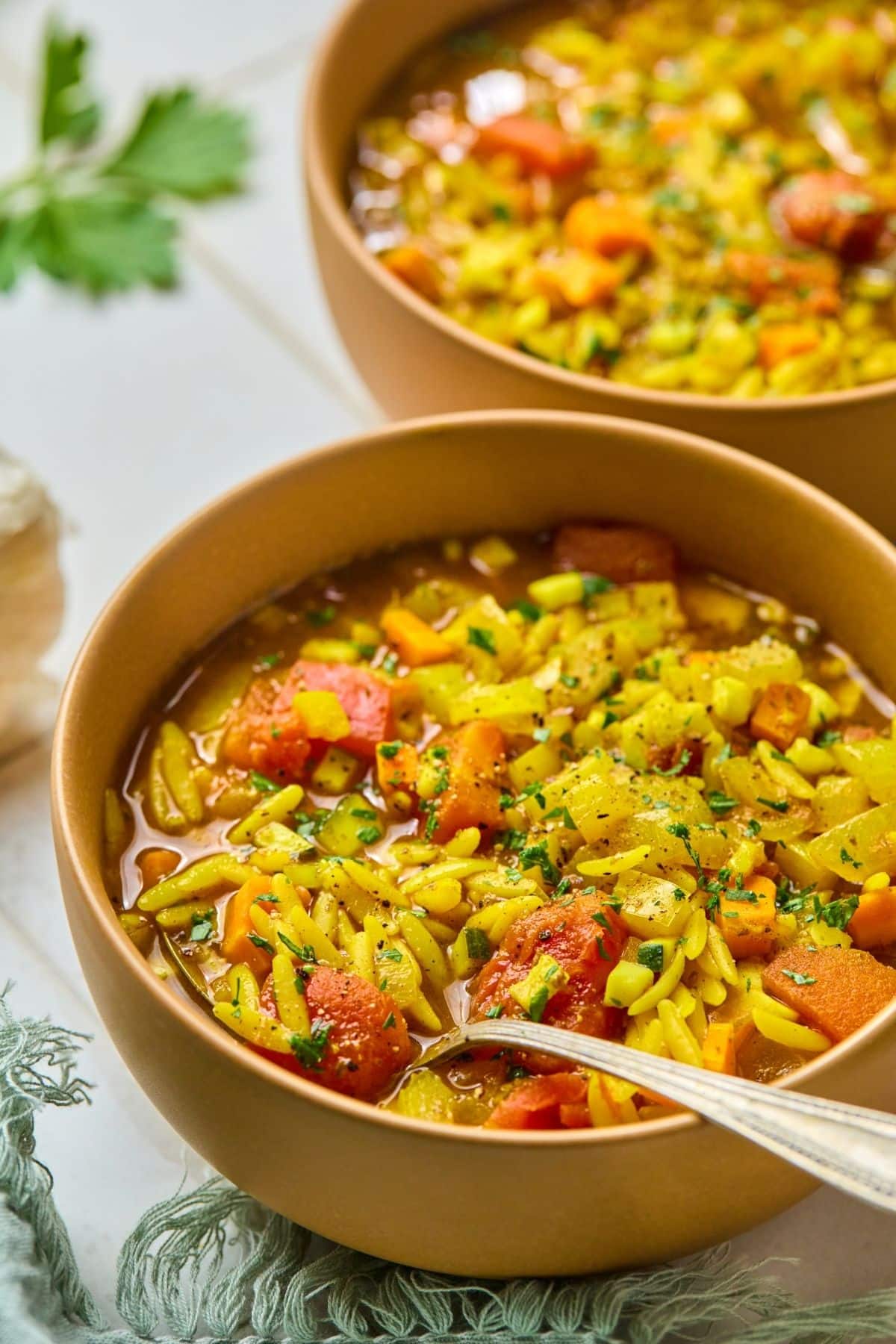 A bowl of vegetable orzo soup with another serving in the background.