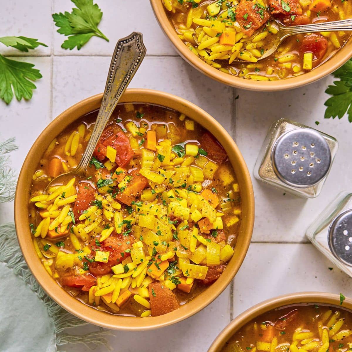 Vegetable Orzo Soup