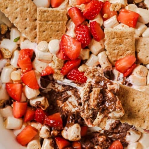 A graham cracker topped with s'mores dip. The bowl with the rest of the dip is behind it.