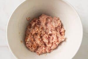 Seasoning ground chicken in a mixing bowl.