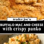 Crispy buffalo mac and cheese made with elbow pasta, creamy three-cheese sauce, and a golden panko topping, garnished with chives and served in a bowl and baking dish.