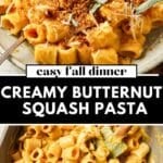 Close-up of creamy butternut squash pasta topped with crispy sage panko breadcrumbs. Rigatoni is coated in a velvety roasted squash sauce, shown plated and in a skillet for a cozy fall dinner recipe.