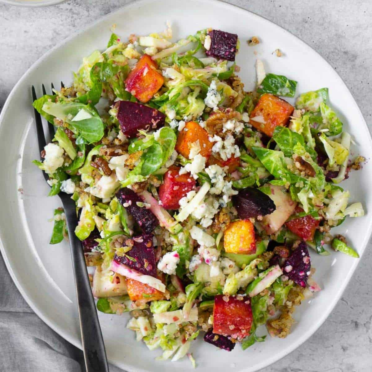 Harvest salad on white plate with a black fork.