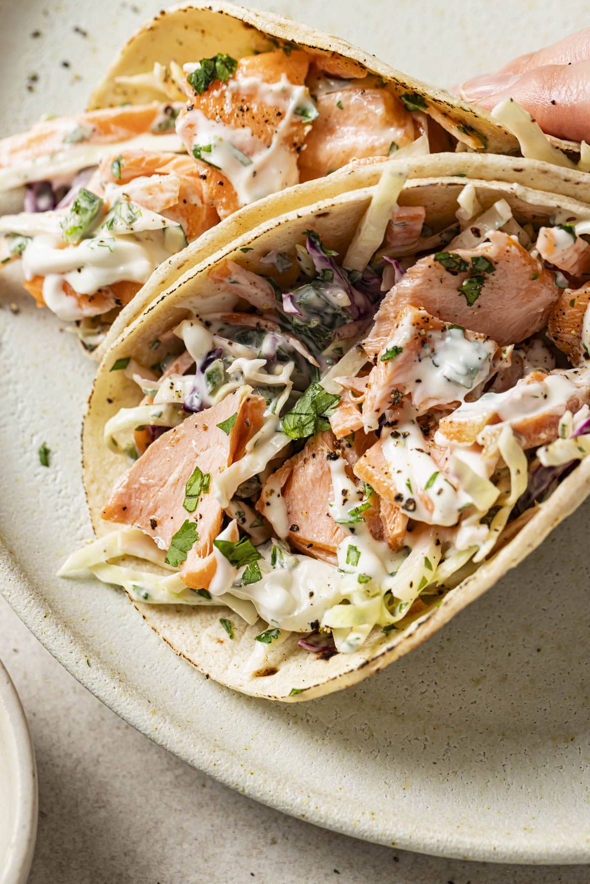 Salmon fish tacos with a creamy slaw.