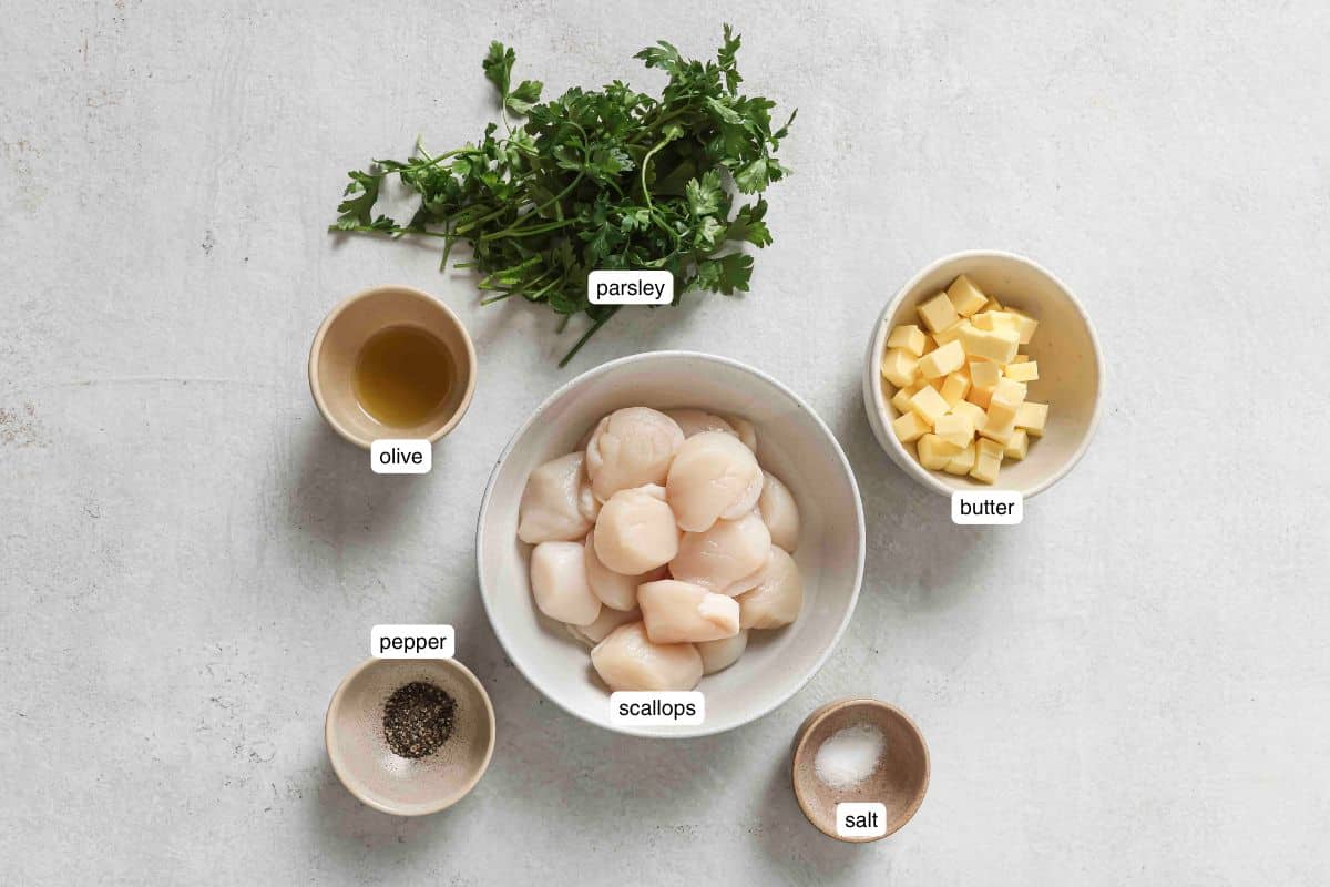 Ingredients for pan seared scallops on a grey background.