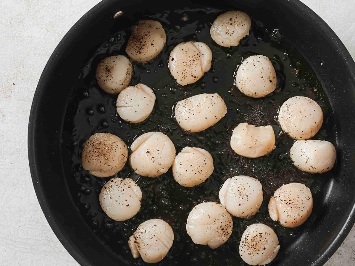 Scallops in a cast iron pan to sear them.