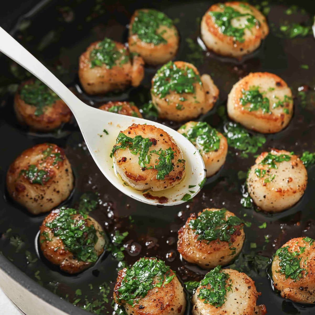 A white spoon lifting a seared scallop out of the pan.