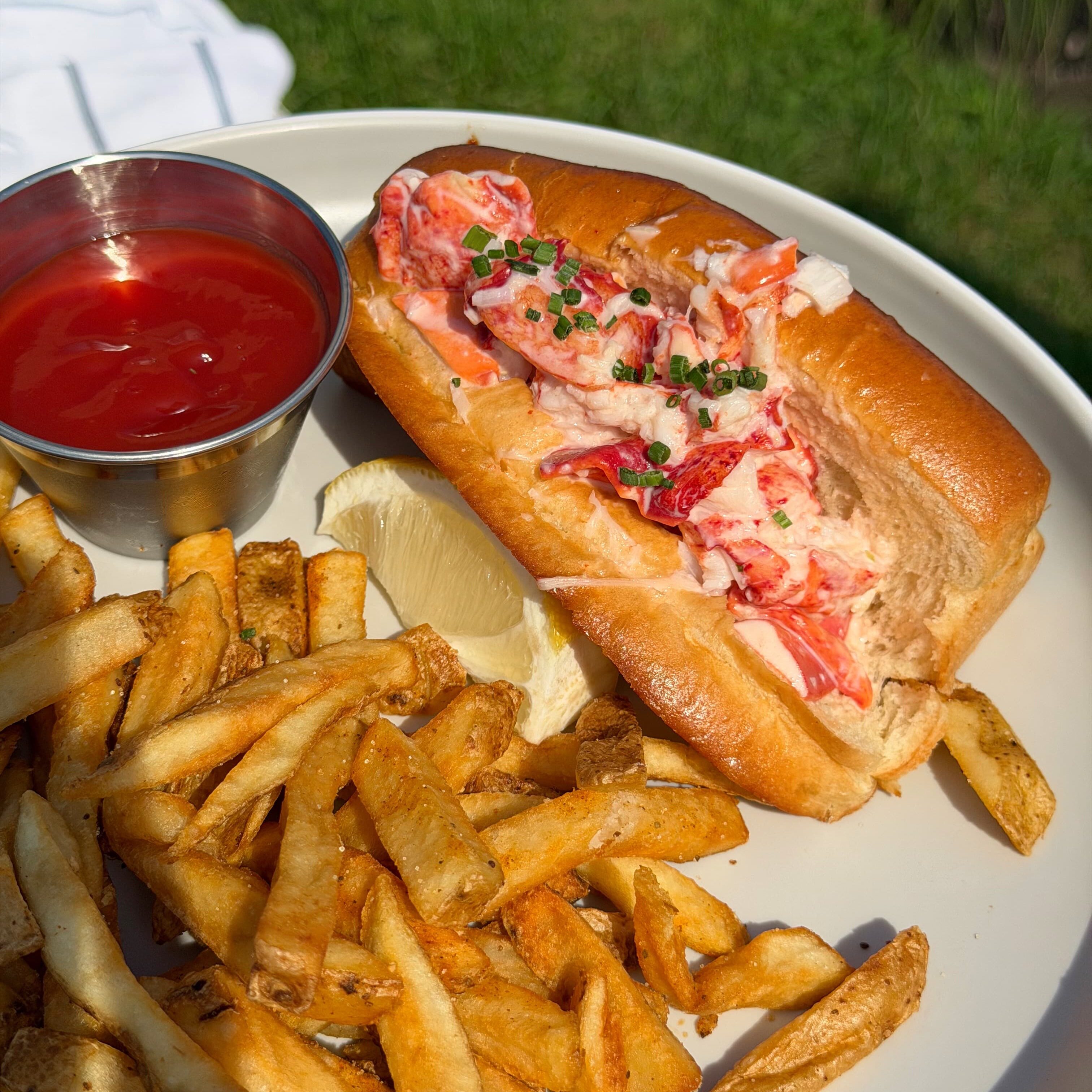 A lobster roll on a white plate with french fries and ketchup on the side.