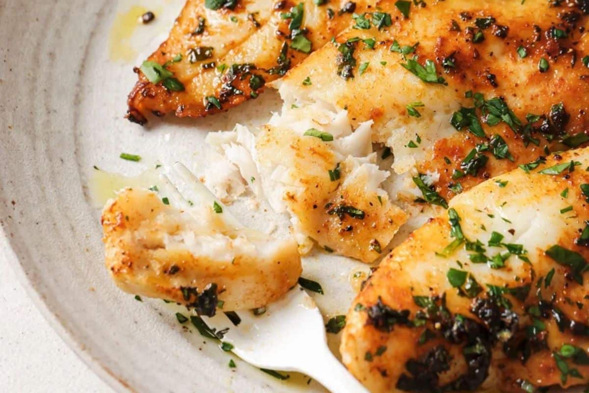 A piece of flaky white fish forked from a larger filet to show the tender middle. 